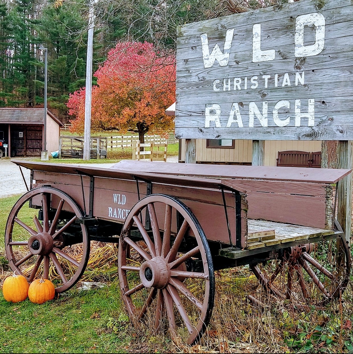 IMG 20231120 131828235 HDR2s IMG 20231120 131828235 HDR2s